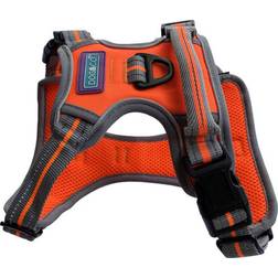 Dog & Co Sports Harness, Padded and Reflective, Orange Large