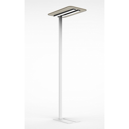 Unilux Nexus Uplight Gulvlampe