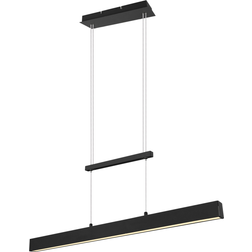 Trio Lighting Paros LED Pendel