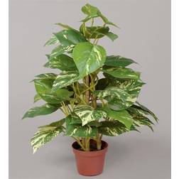 Silkeplanter kunstig Pothos