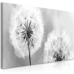 Artgeist Canvas - Fluffy Dandelions Grey Wide 100x45 Tavla