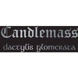 Candlemass Dactylis Glomerate (Vinyl)