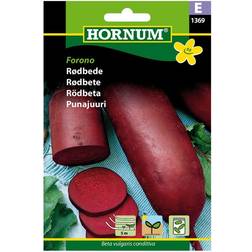 Hornum Rødbede Frø, Forono Såbånd Blomsterfrø