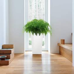 Lechuza Blomkruka CUBICO Premium 22