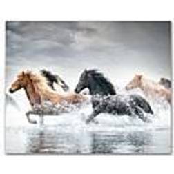 Courtside Market Horse Run V 20x24 Canvas Wall Art