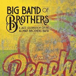 BIG BAND OF BROTHERS Jazz Celebration Of The Allman Brothers Band (Vinyl)