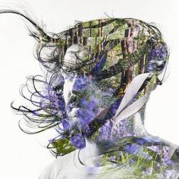 Bibio Ribbons (Vinyl)