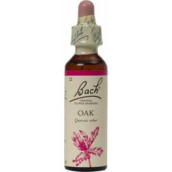 Bach Original Flower Remedies Oak 20ml order 130