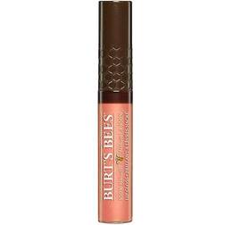 Burt's Bees Lipgloss 209 Fall Foliage 6 ml