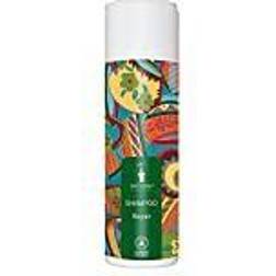 Bioturm Bioturm schampo reparation, 3-pack 3 200ml