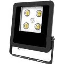 EVN Panthera Udendørs LED-Spot IP65 10 W