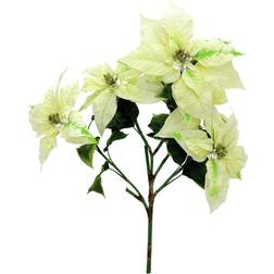 Europalms Poinsettia bush, cream, 60cm Künstliche Pflanzen