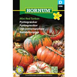 Hornum Pyntegræskar, Mini red turban mix Påskepynt
