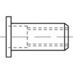 Toolcraft TO-5444346 Blindnittemøtrik M5 Stål 500 stk