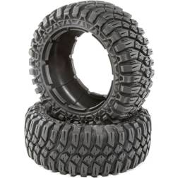 Losi Creepy Crawler 2 Pack of DBXL-E