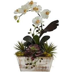 Nearly Natural Floral Decor Orchid & Succulent Garden with White Wash