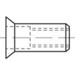 Toolcraft TO-5444256 Blindnittemøtrik M5 Stål 500