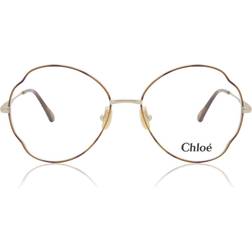 Chloé CH0097O 004 Naisten Kilpikonnashell