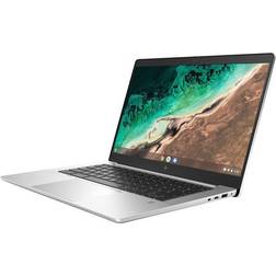 HP Elite c645 G2 Chromebook