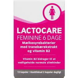 Lactocare feminine kaps Kosttilskud 12