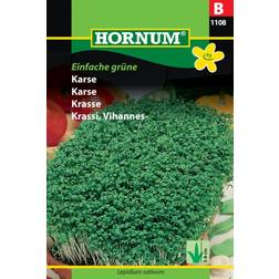 Hornum Karsefrø, Einfache grüne Almindelig Blomsterfrø
