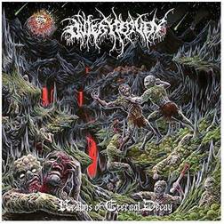 Outer Heaven - Realms of Eternal Decay (CD)