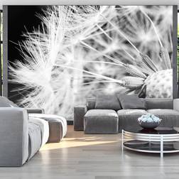 Artgeist Fototapet Black and white dandelion 100x70