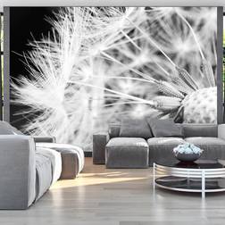 Artgeist Fototapet Black and white dandelion 350x245