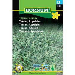 Hornum Timian Frø, Appelsintimian, Thymus Blomsterfrø
