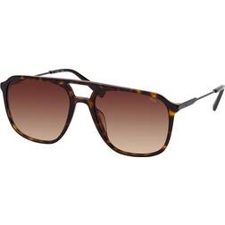 Fila SFI 215 722Y, ROUND Sunglasses, MALE, available with