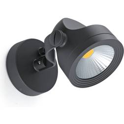 FARO BARCELONA Alfa Spotlight