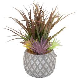 Geko Succulents Lattice Design Grey Pot