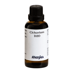 Allergica Cichorium D20