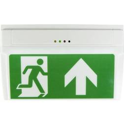 B-Safety BR530030 LED escape route lighting Ceiling surface-mount, Wall surface-mount Exit, Emergency exit, Right, Left