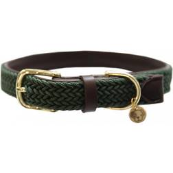 Kentucky F. Nylon hundhalsband grön