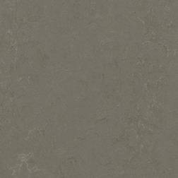 Forbo Marmoleum Fresco 205727 Linoleum Flooring