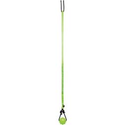 Jolly Dog Toy Size Green/Black - Green/Black Jolly Pets