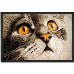 Diamond Painting Goldener Blick