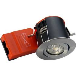 Daxtor EXO 66 Spotlight