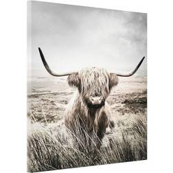 Estancia Highland Cattle Tavla 75x100cm