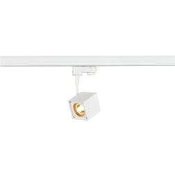 SLV ALTARA DICE Spotlight