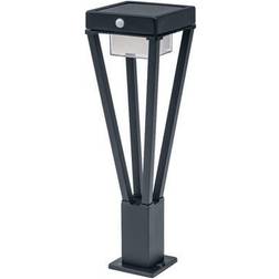 LEDVANCE ENDURA Style Bouquet Sensor Vægarmatur