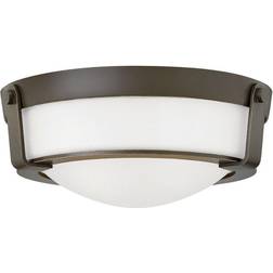 Loops 2 Bulb Ceiling Flush Light