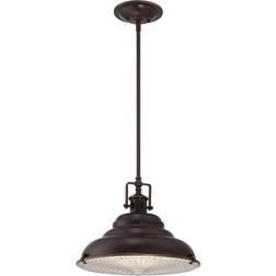 QUOIZEL East Vale 1 Pendant Lamp