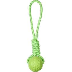 Companion Aqua Ball on Rope