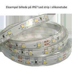 All-Light All-Light strip 24V DC LED bånd