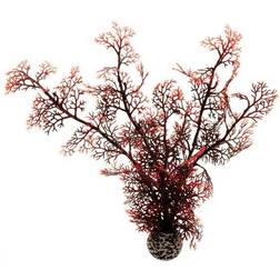 Biorb Sea Fan, Crimson