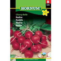 Hornum Radise Frø, Cherry Belle