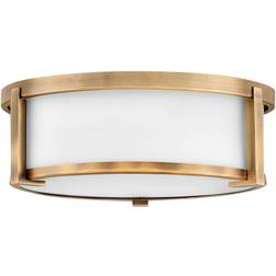 Hinkley 3241 Lowell 2 Mount Fixtures Ceiling Flush Light