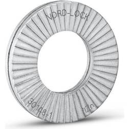 Nord-Lock 1231 Locking Carbon Steel Zinc